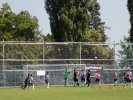 20180619-08-33-53-dscn1509.jpg
