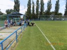 20180619-08-33-53-dscn1565.jpg