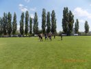 20180619-08-33-53-dscn1578.jpg
