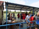 20180619-08-33-53-dscn1595.jpg