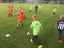 20190715-11-10-12-img-4433.jpg