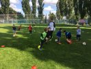 20190715-11-10-12-img-4533.jpg